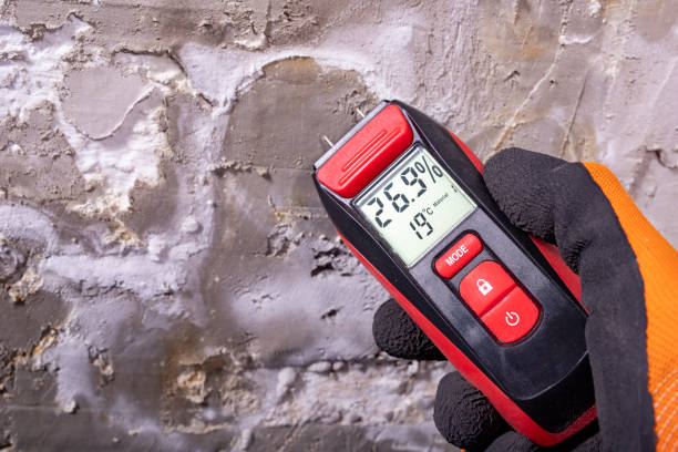 Best Bathroom Mold Remediation in Olney, TX