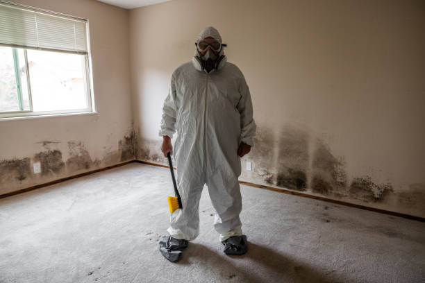 Best Industrial Mold Remediation in Olney, TX